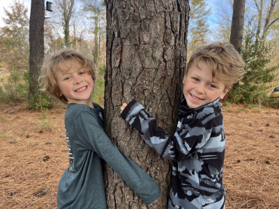 twinstrees