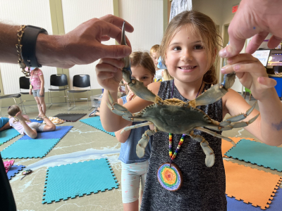 bluecrab