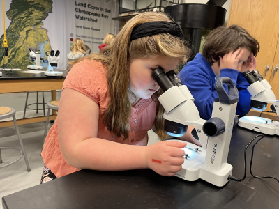 microscopes