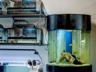 estuarium