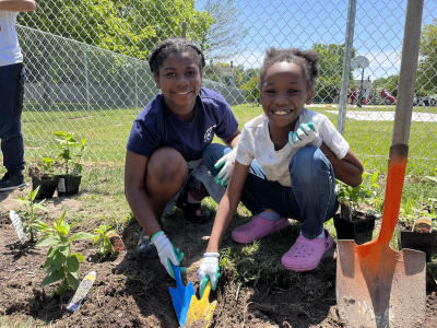 plantingrhes