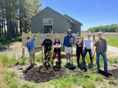 treeplanting