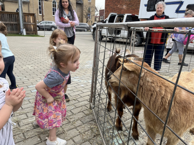pettingzoo