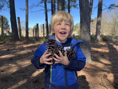 pinecomejim