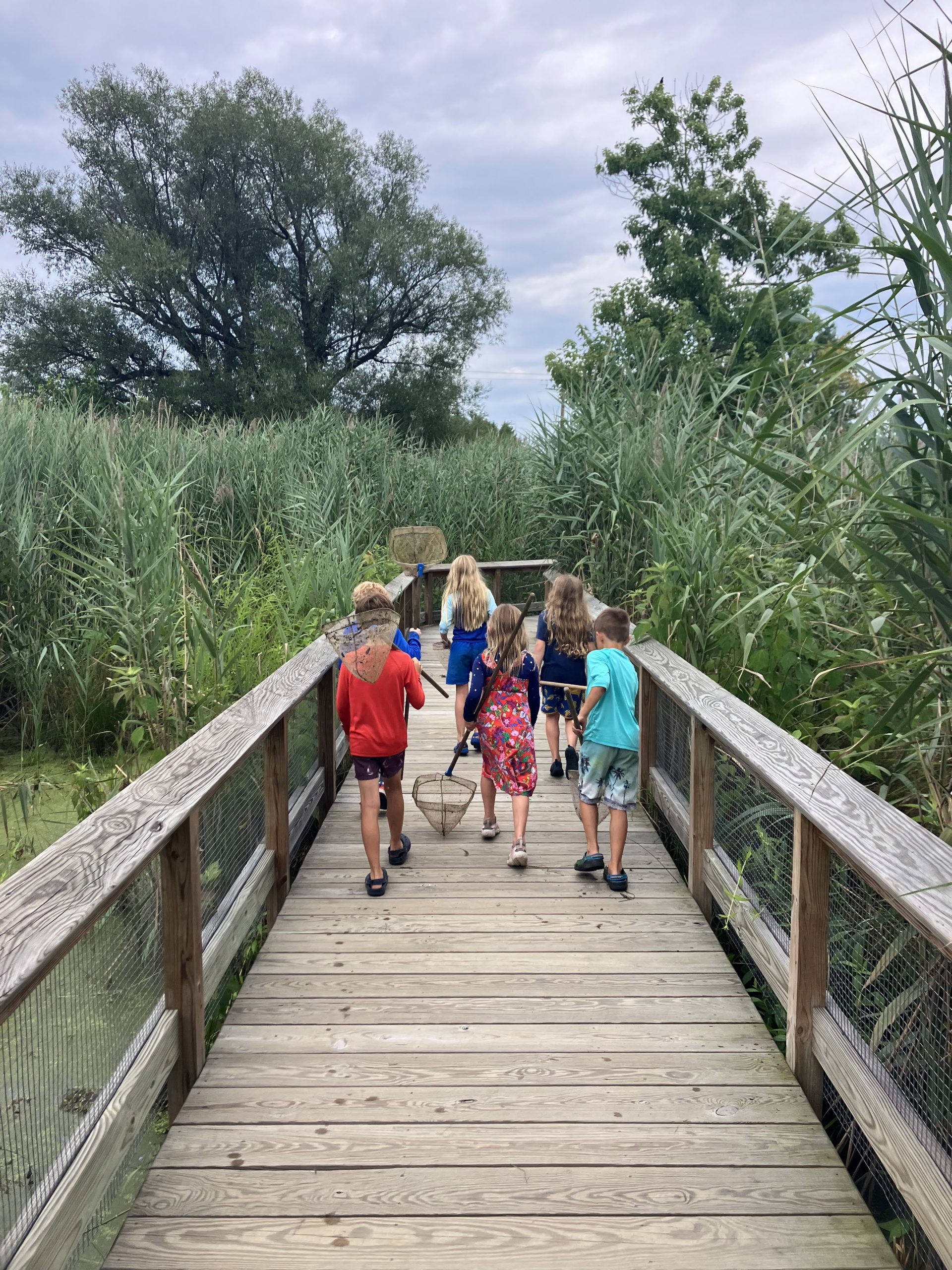 Wonders of Wetlands