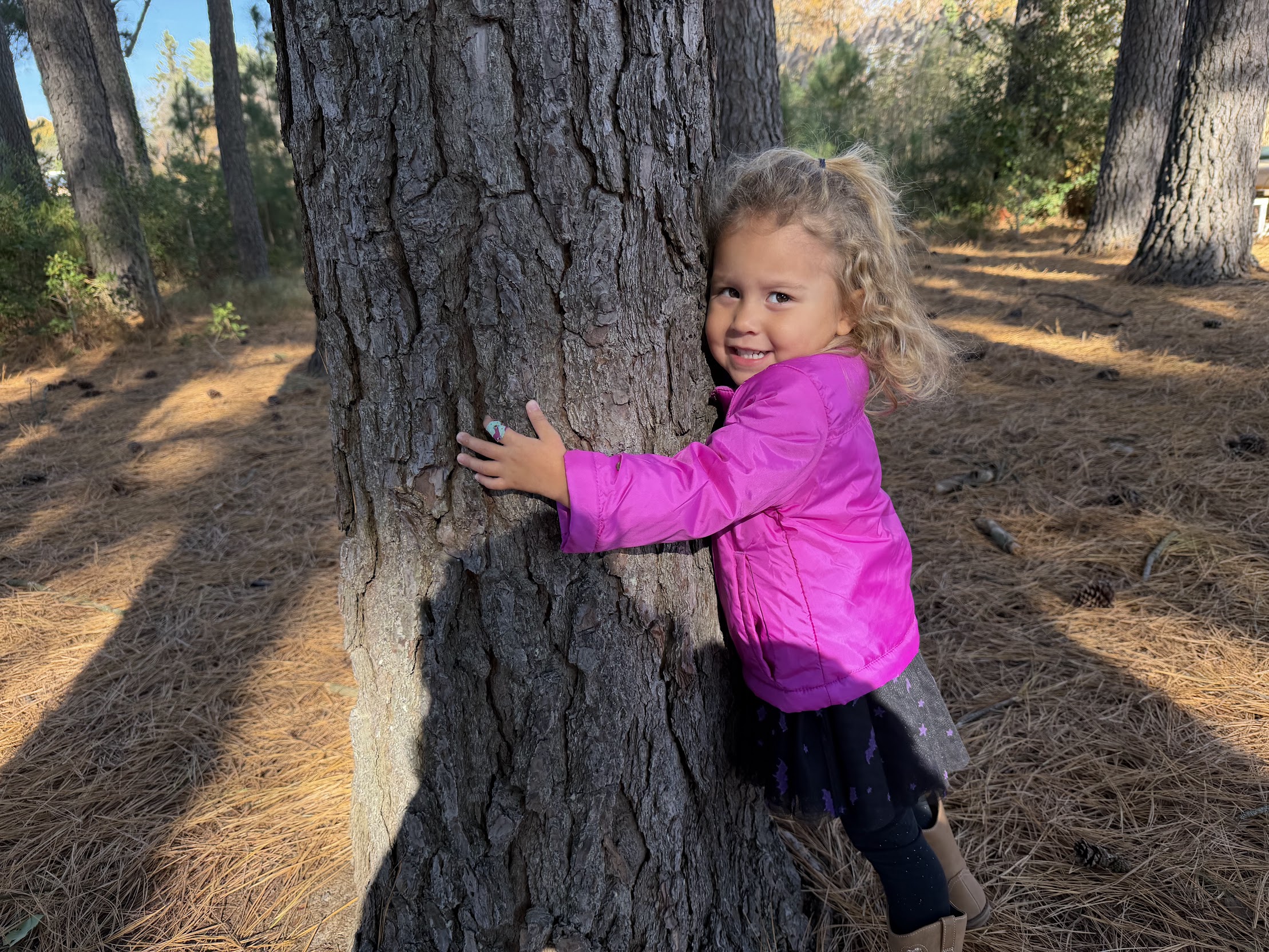 Lawrence Preserve Toddler Time – Terrific Trees